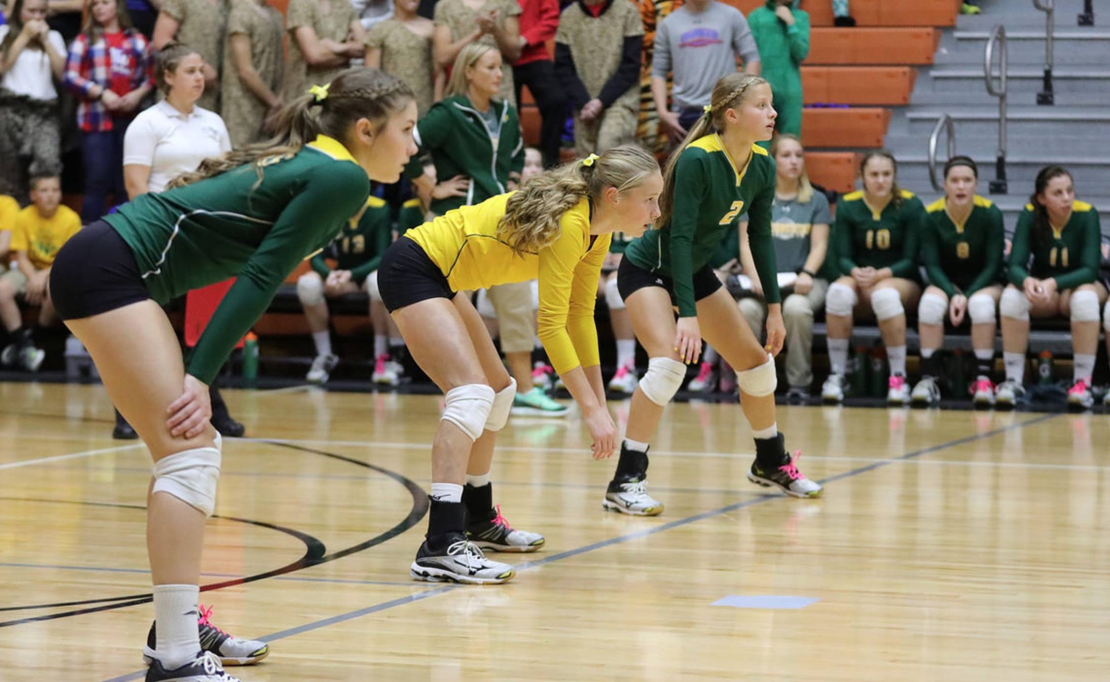 HS volleyball players