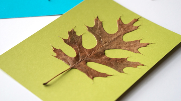 Leaf