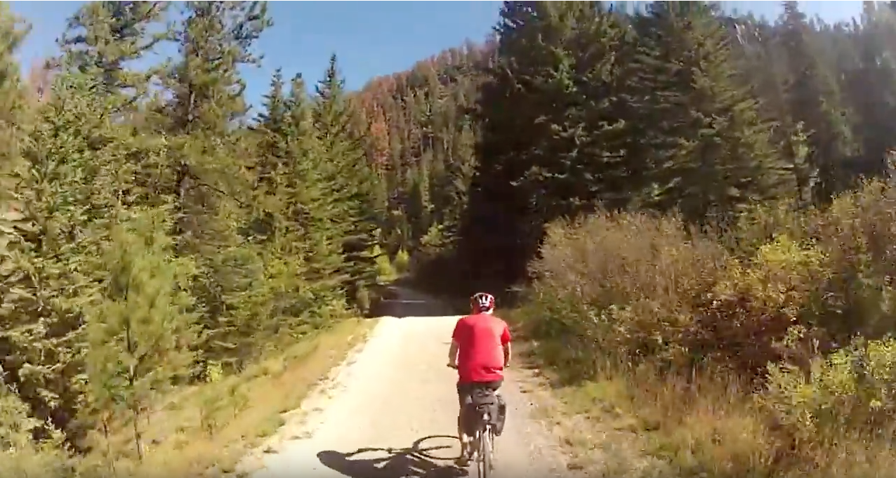 Bike rider on Mickelson trail