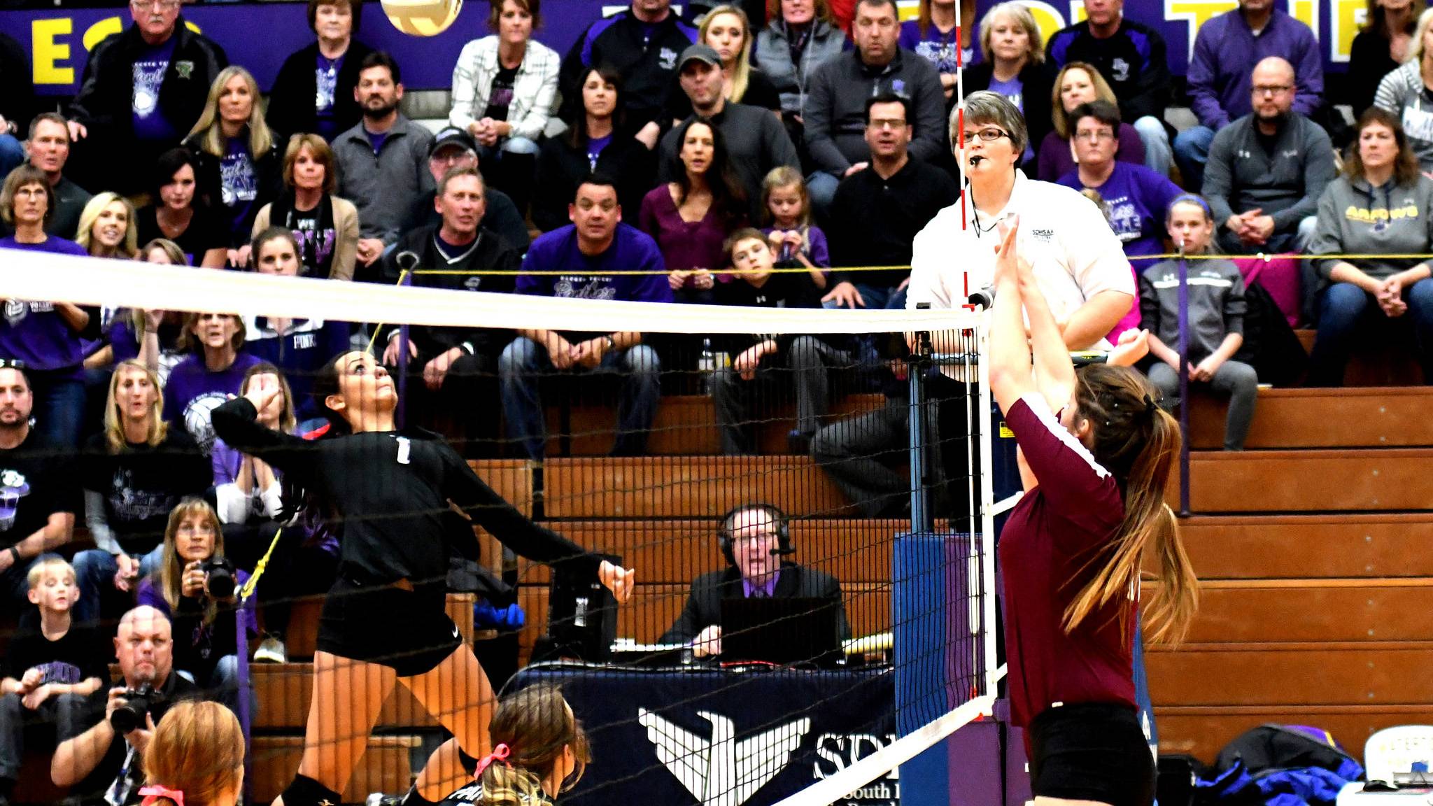 HS volleyball players