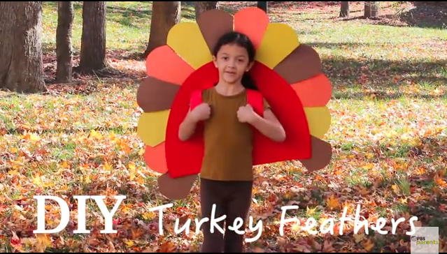 Turkey Feathers