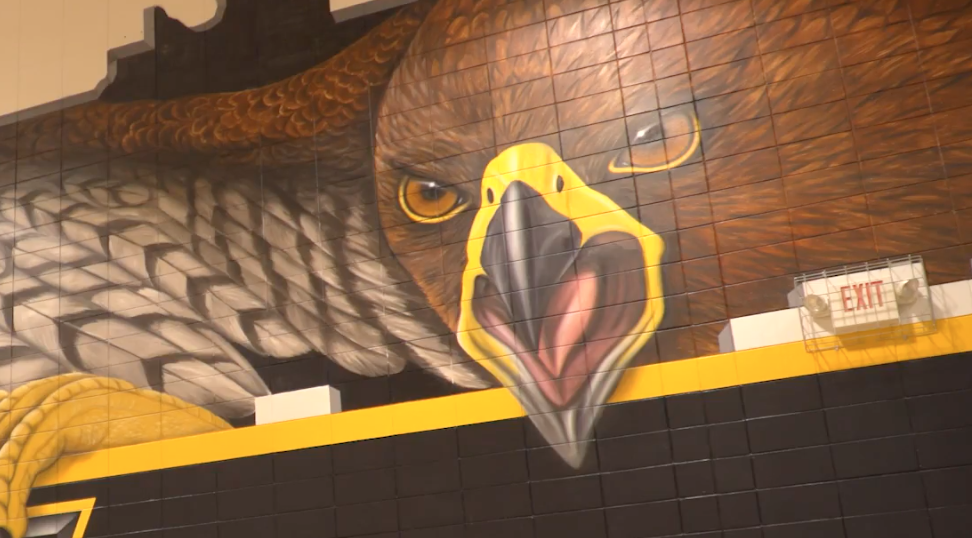 Mural of Colman-Egan Hawk