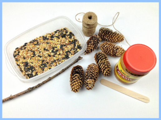 Pinecone Bird Feeder materials