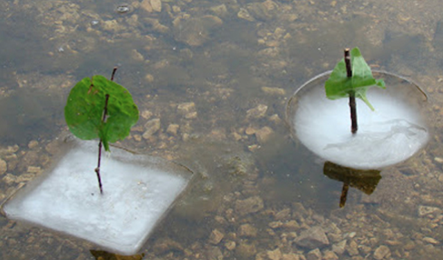 Ice boats