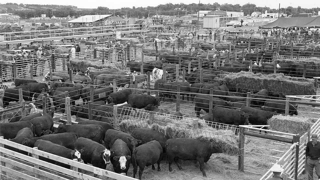 Photo of Sioux Falls stockyard