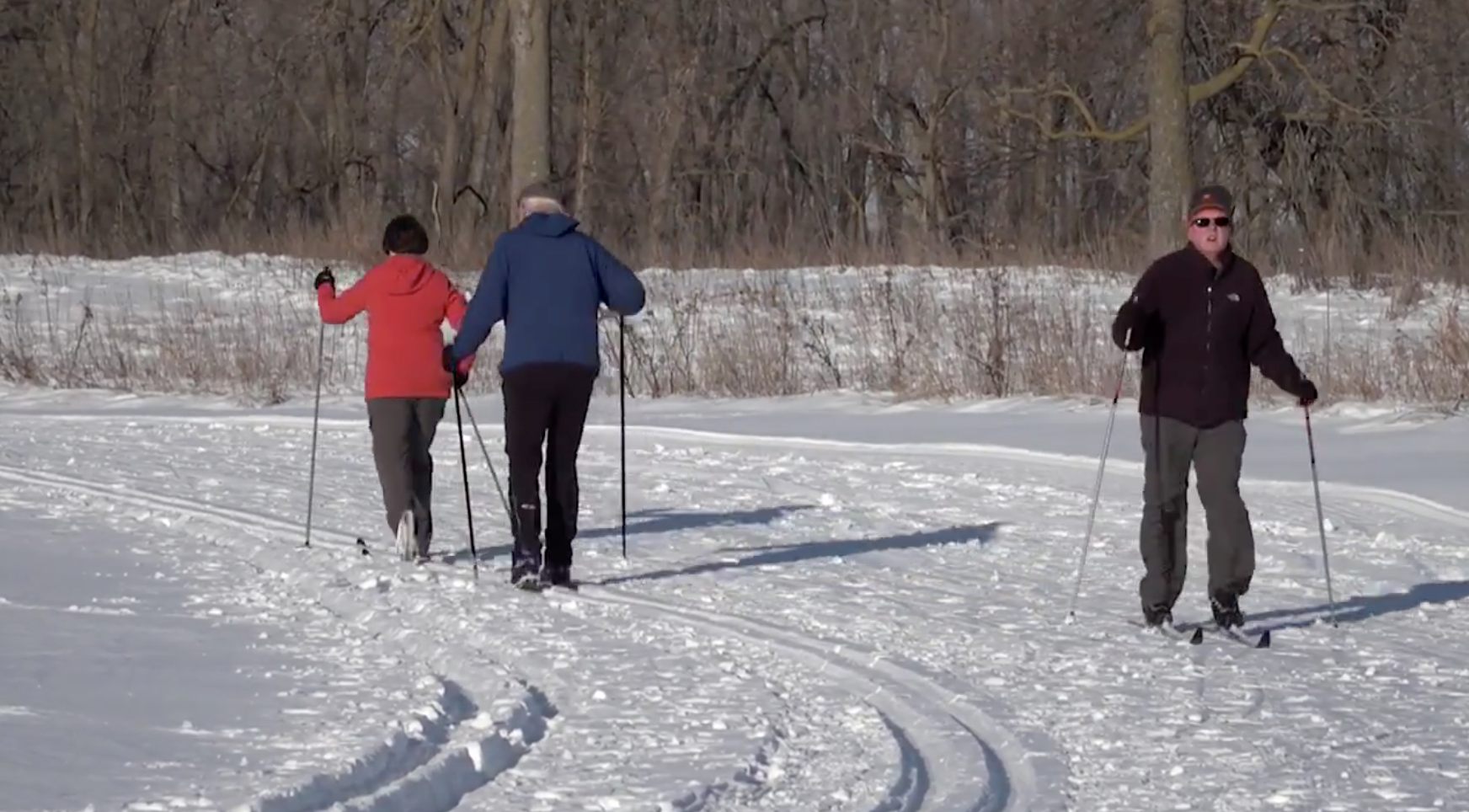 picture of people skiing 