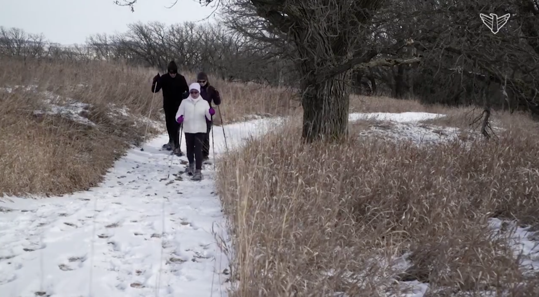 People snowshoeing