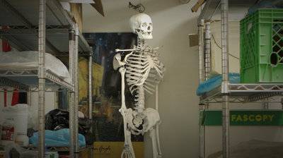 Skeleton
