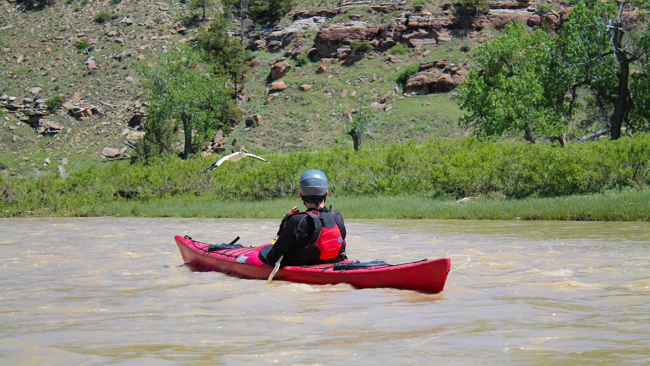 Kayaking in the Black Hills