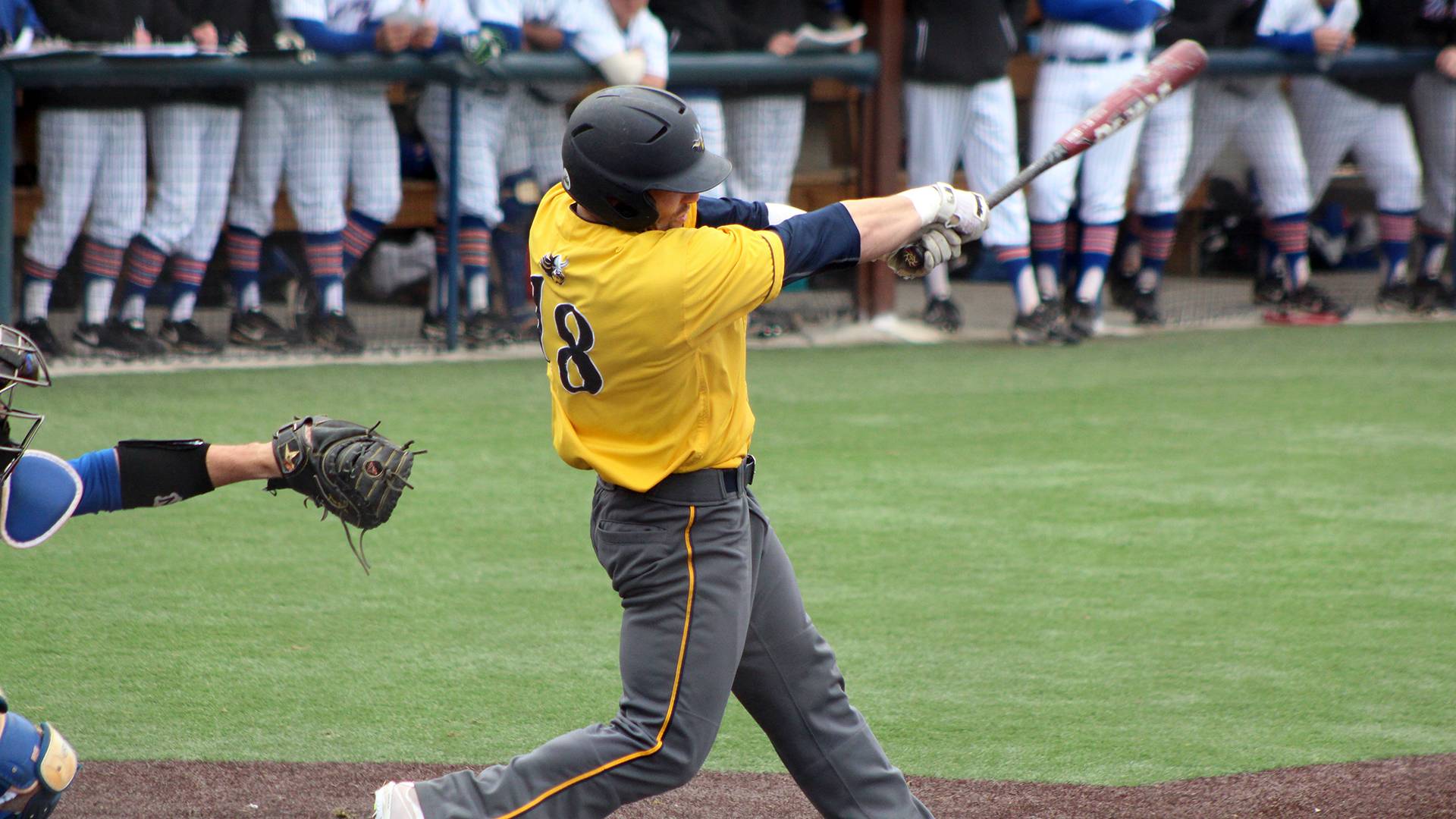 Augustana University Baseball player