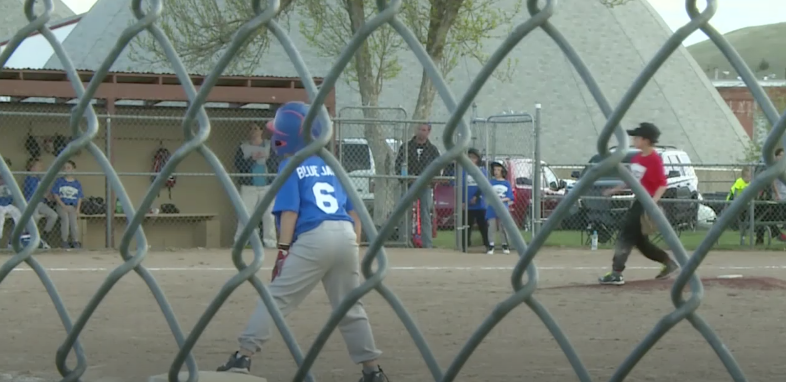 little league baseball players