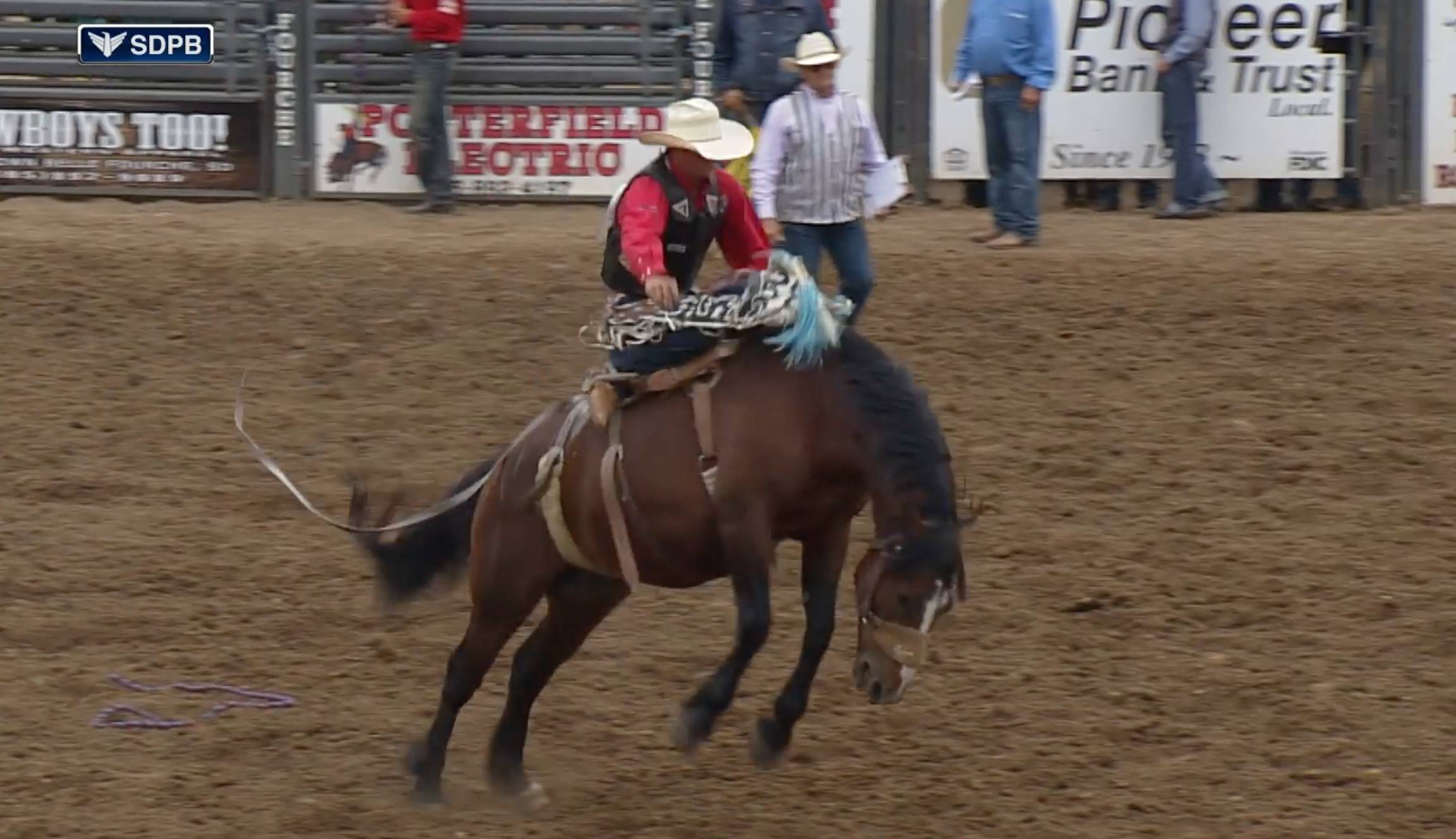 Saddle Bronc rider