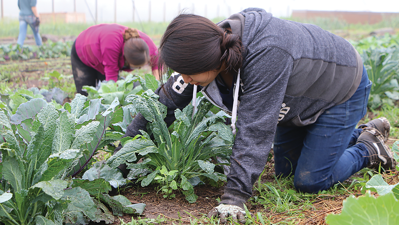 Young people grow a community garden near Mission, SD.