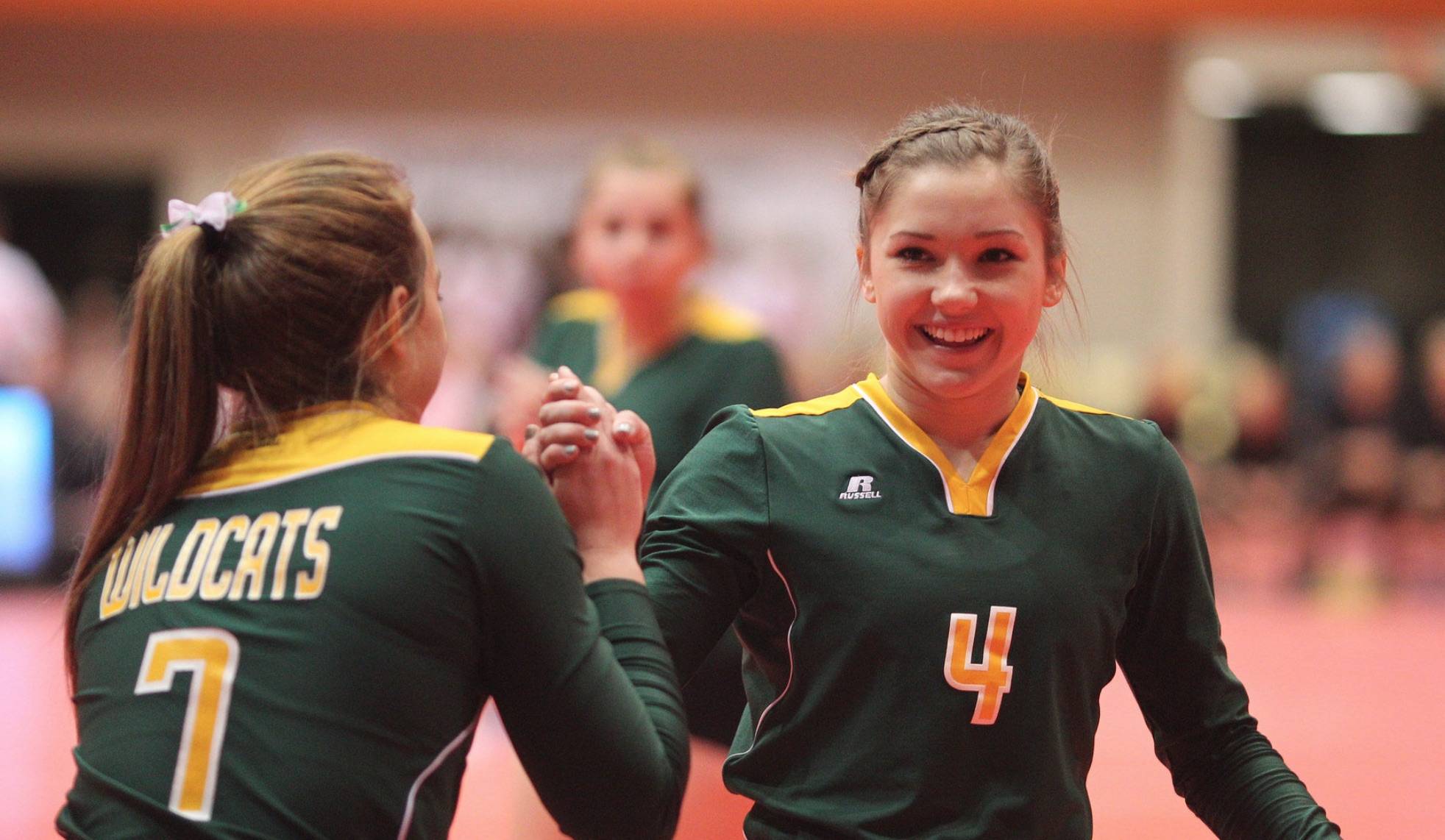 Volleyball players