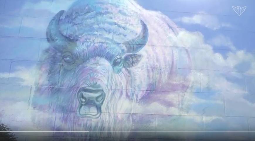 Faulkton Bison mural