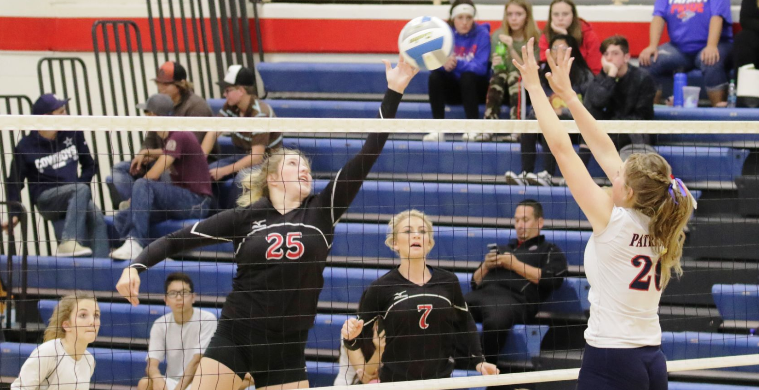 high school volleyball players