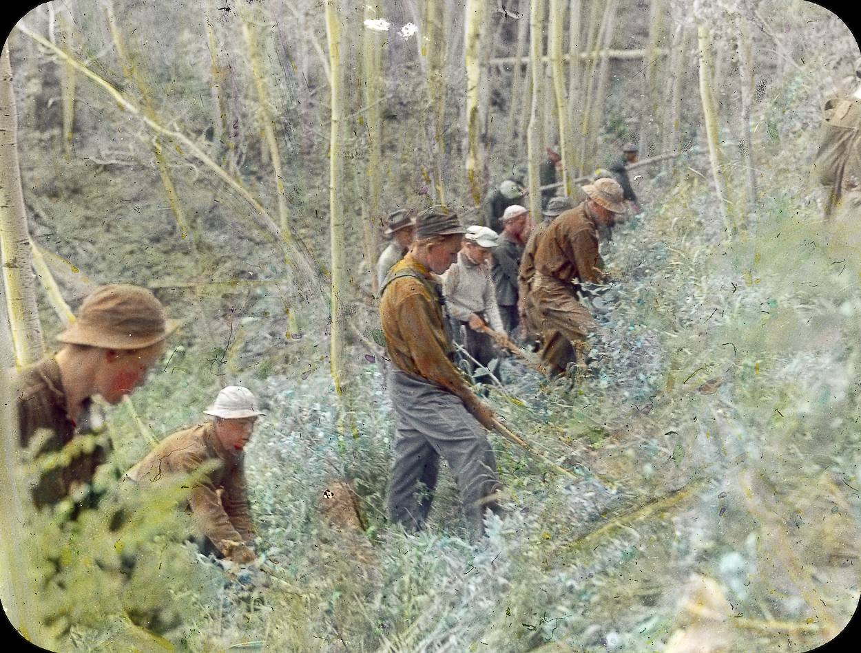 Civilian Conservation Corps