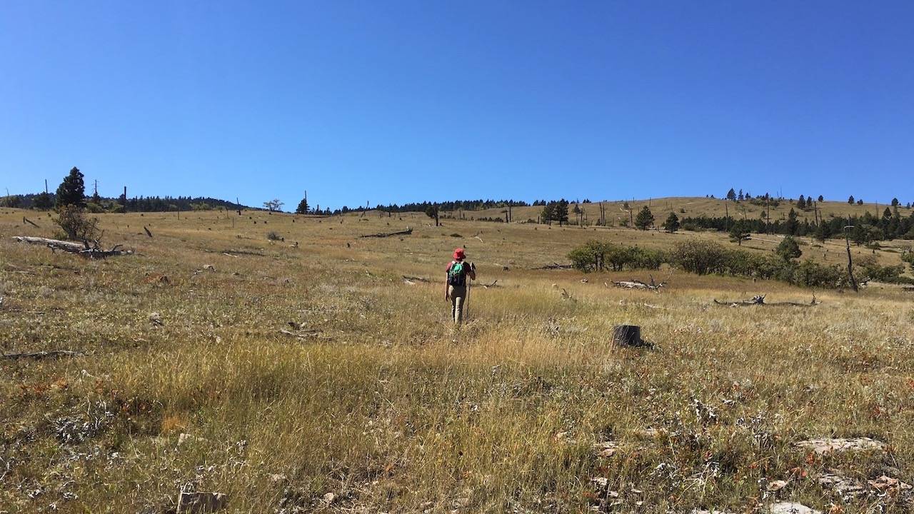 Hiking in the Black Hills