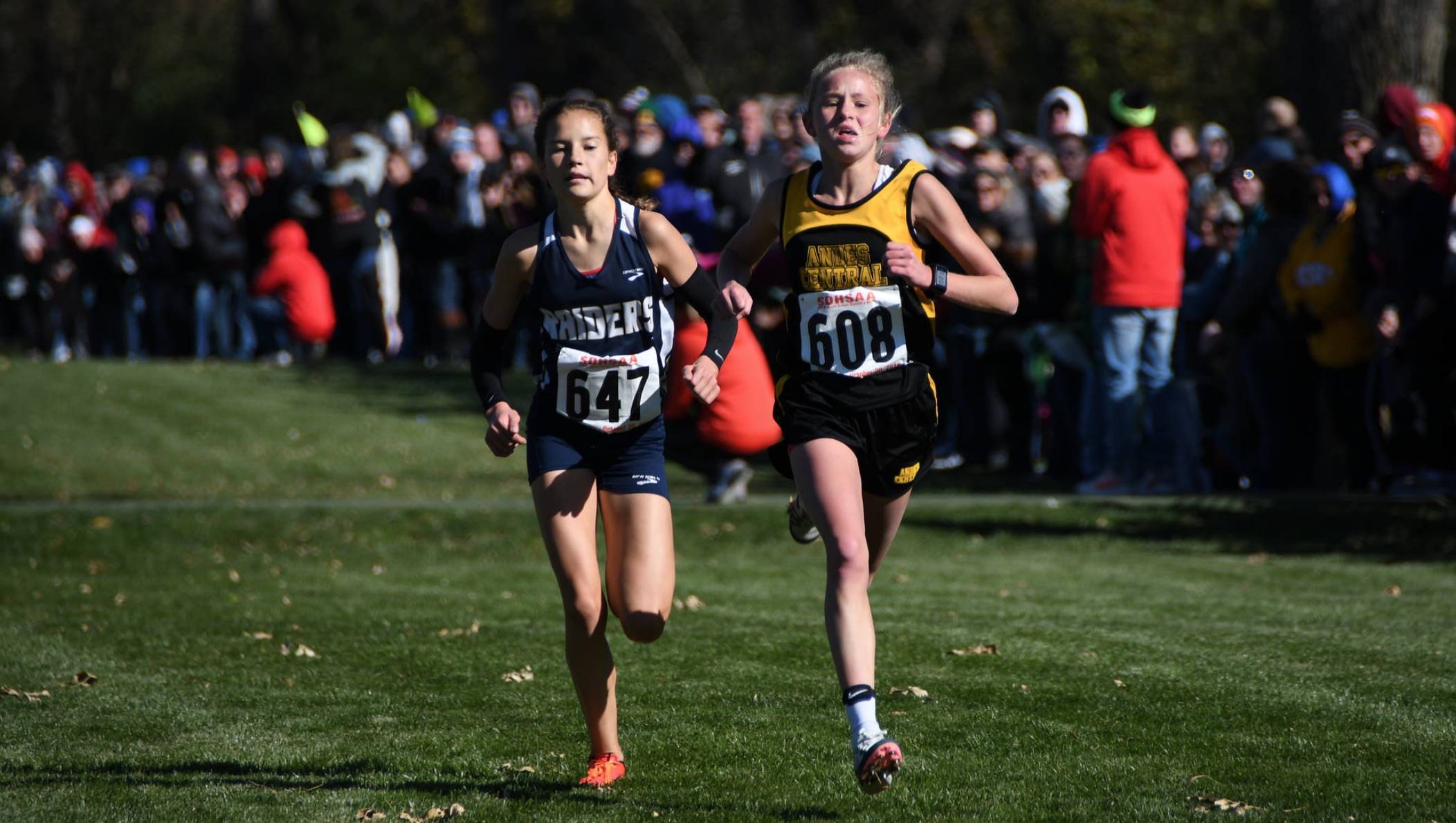 Cross country runners