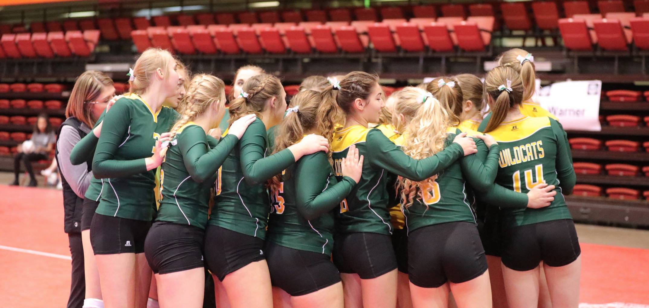 volleyball team