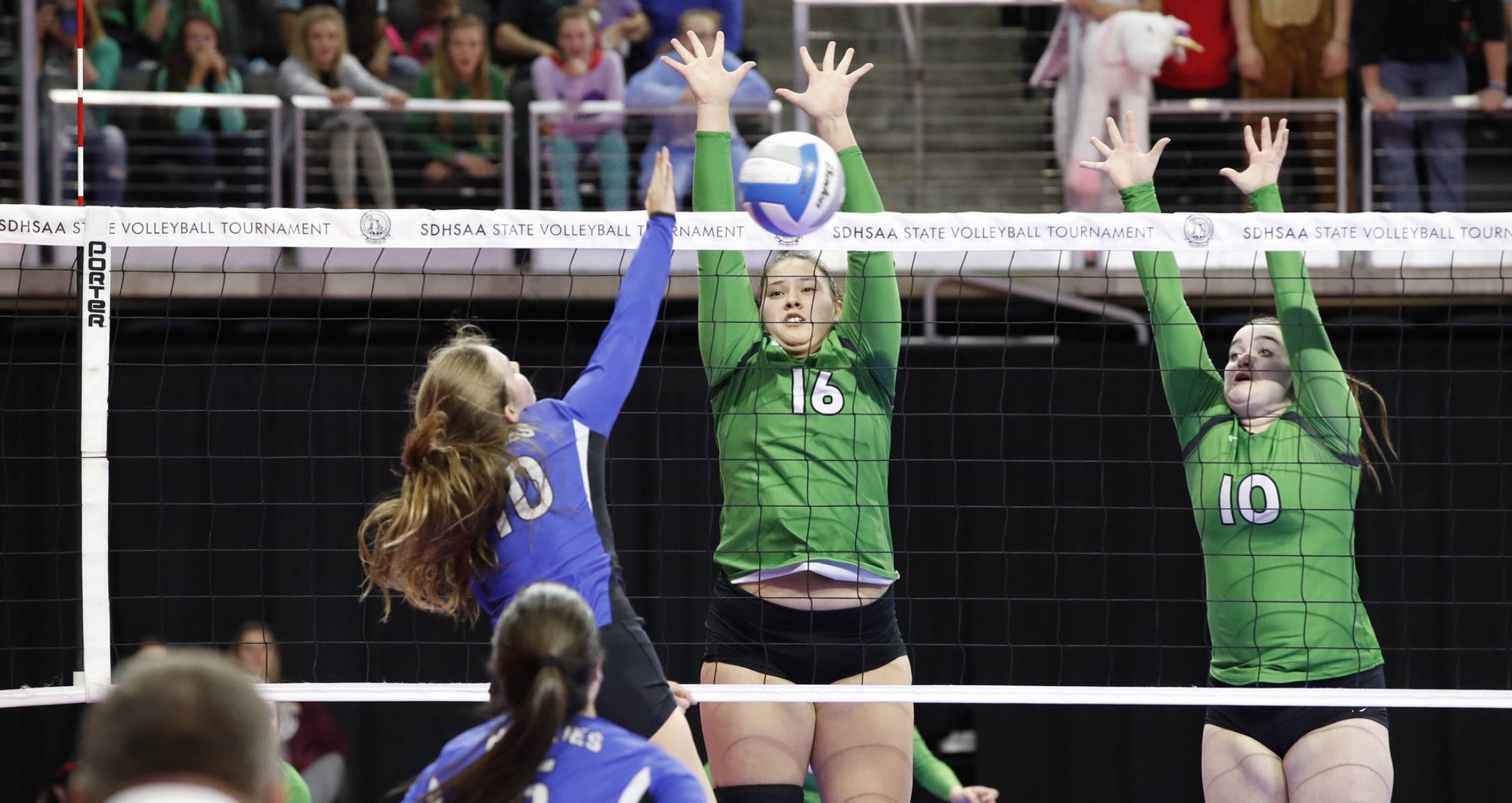 HS volleyball players