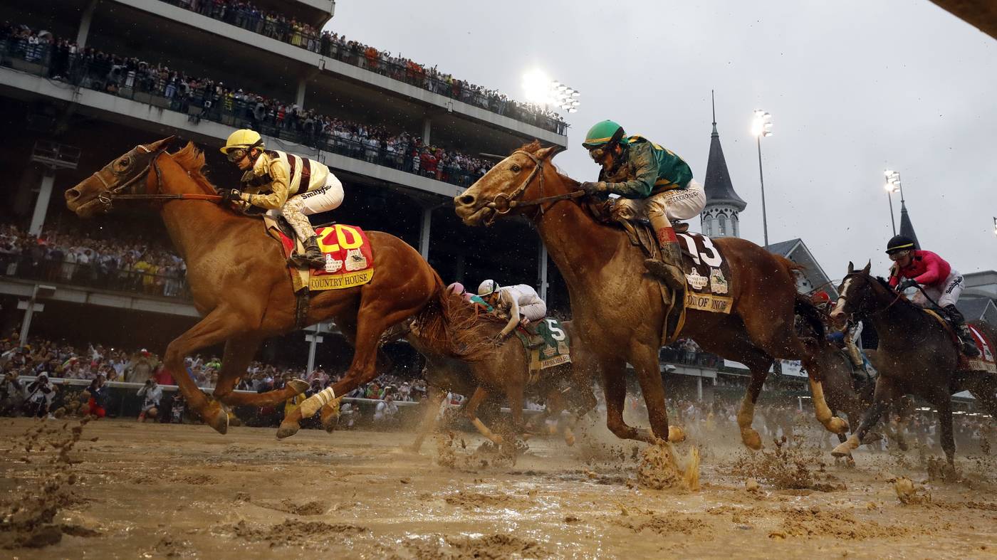 horse races