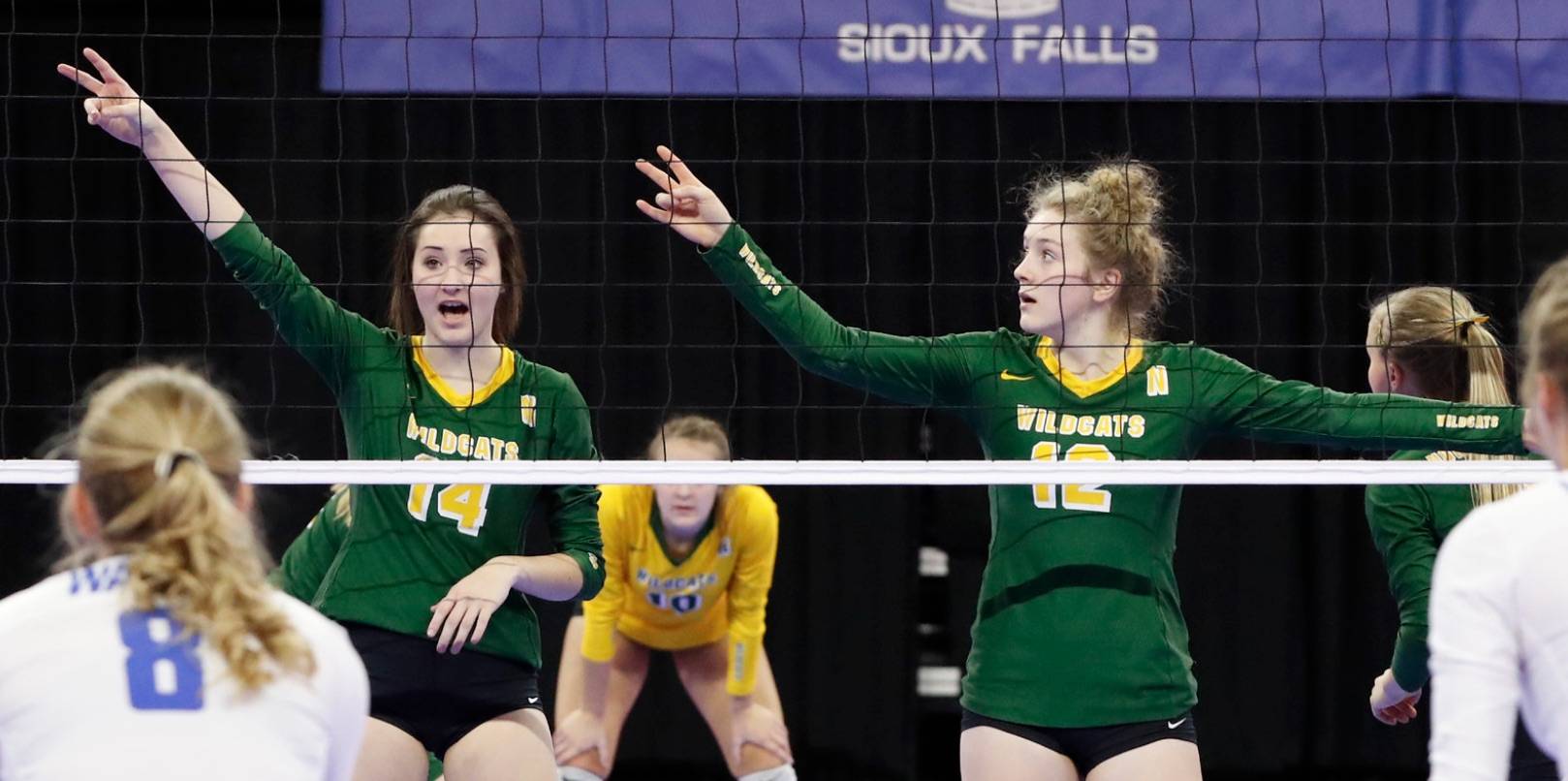 HS volleyball players