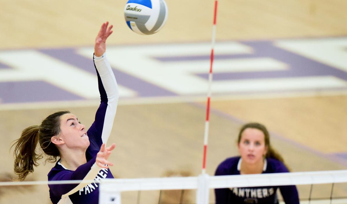 HS volleyball players