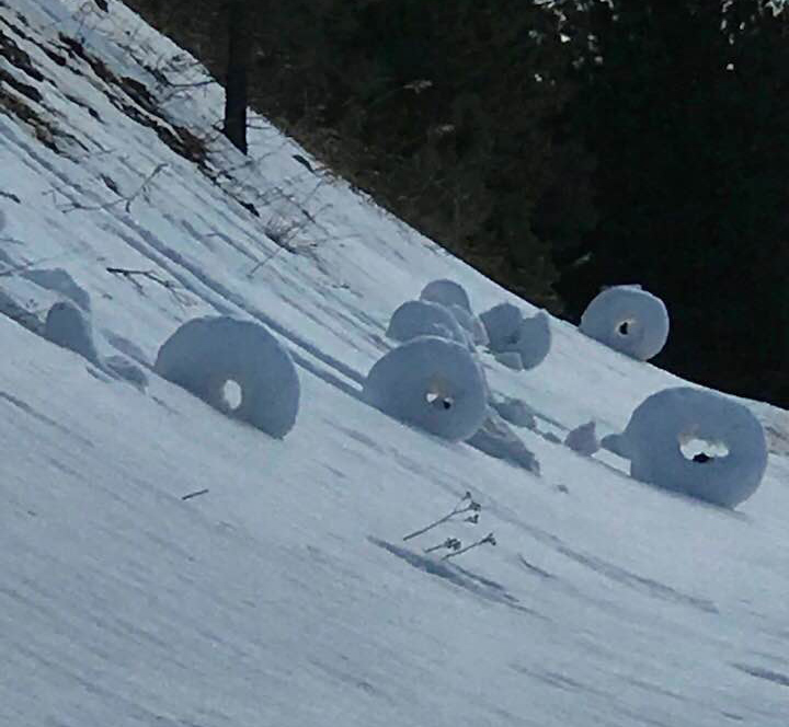 Image - Snow1.jpg