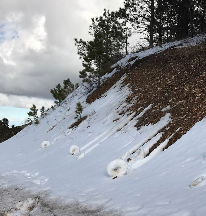 Image - Snow3.jpg
