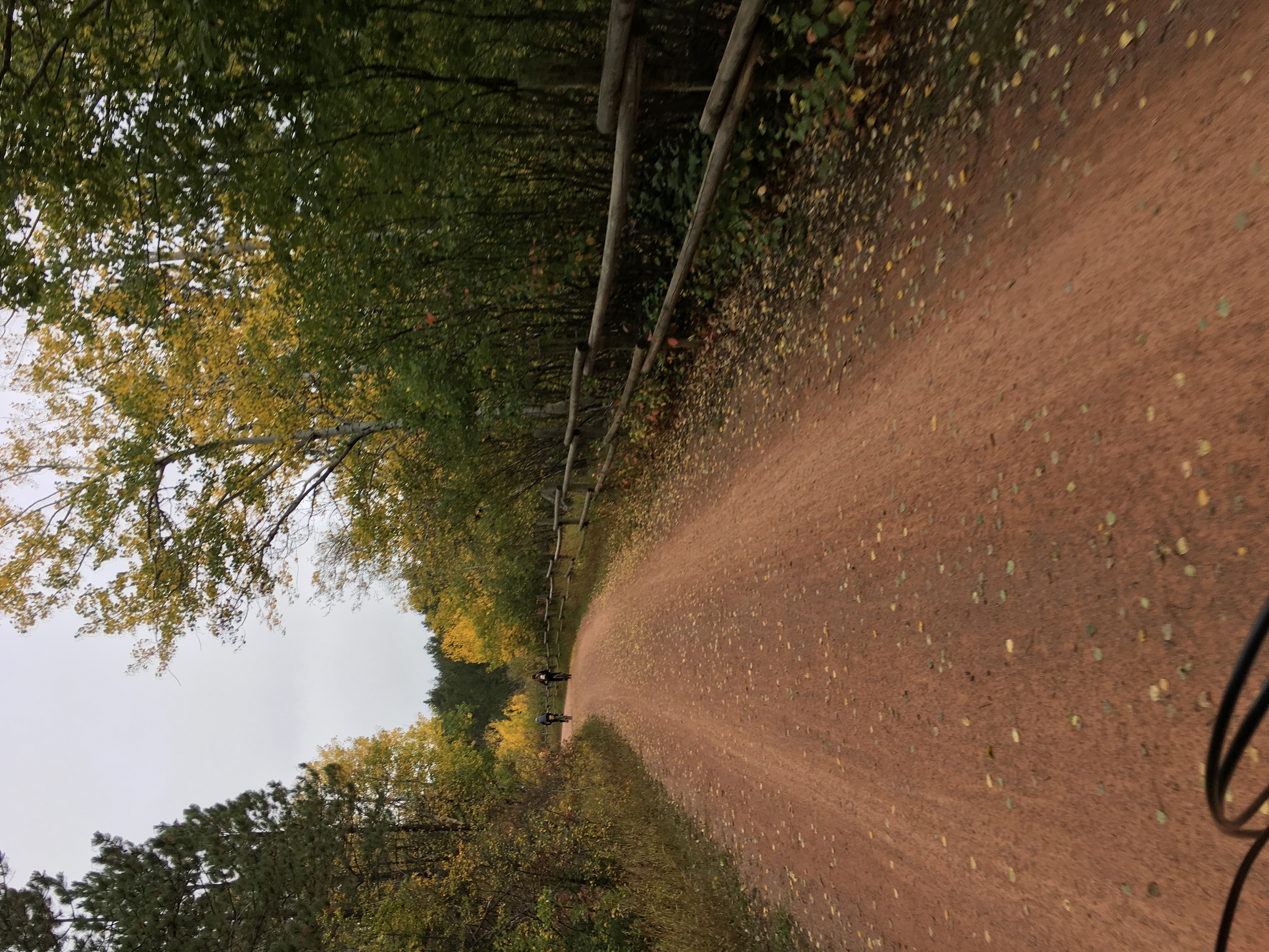 Image - IMG_0815.JPG