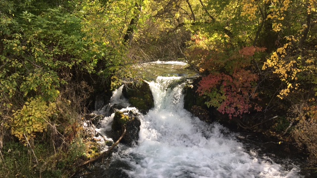Image - Little Spearfish Creek.jpeg Image - Little Spearfish Creek.jpeg