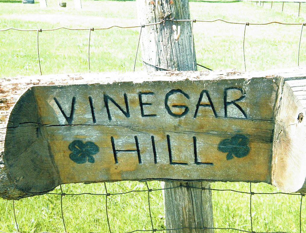 Image - vinegarHill.jpg