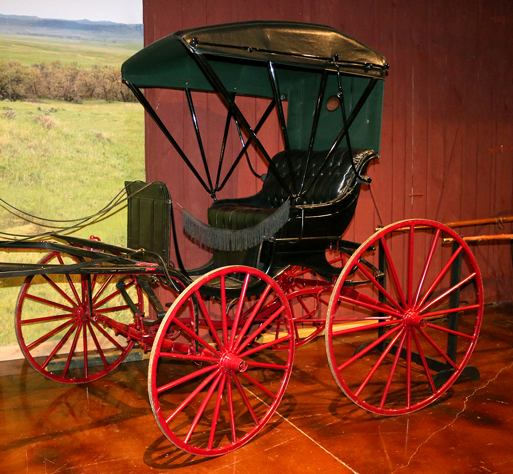 Image - Doctor Buggy.jpg