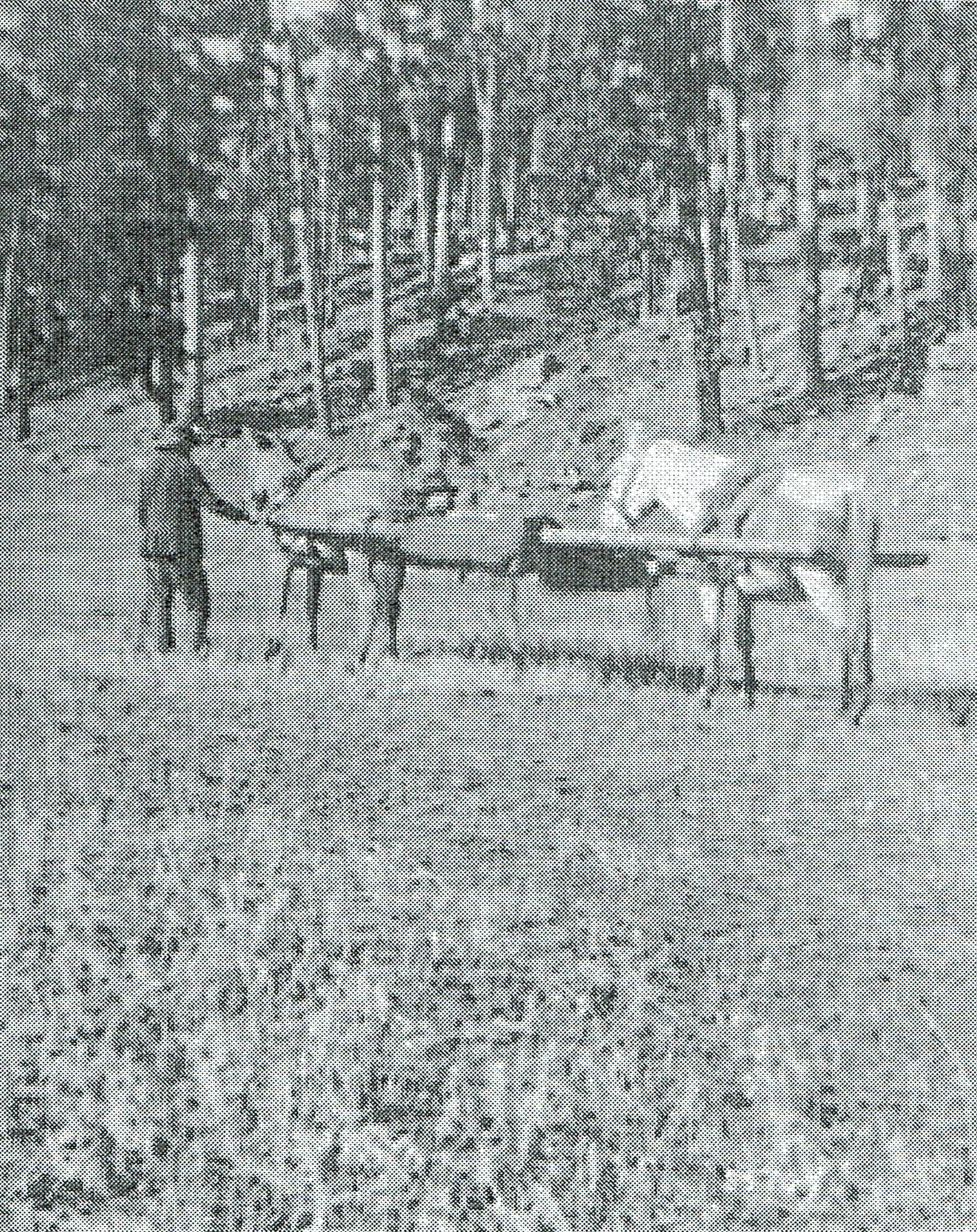Image - Photo4 Horses.jpg