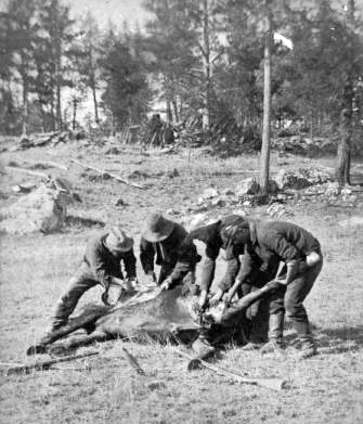 Image - Soldiers_cutting_up_abandoned_horse.png