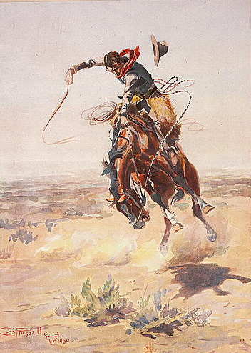 Image - buckingBronc.jpg