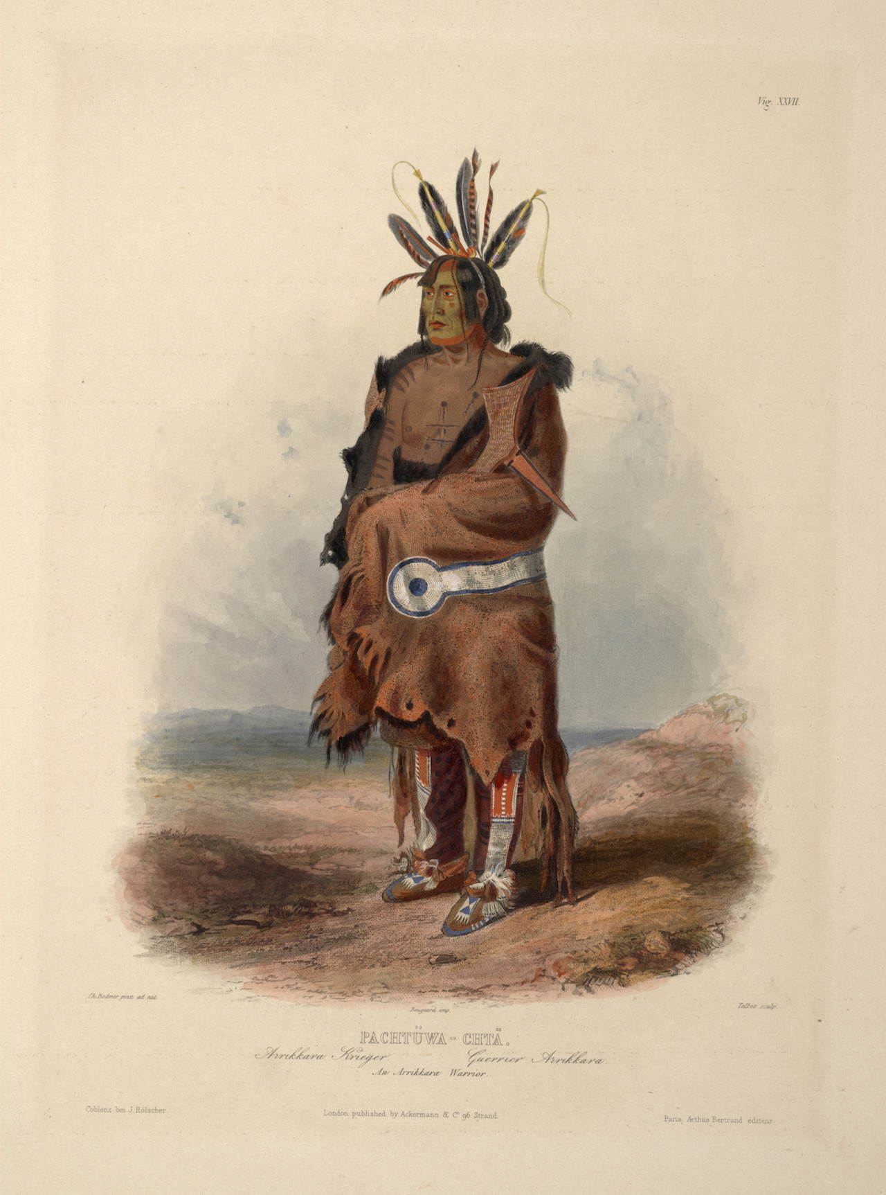 Image - ArrikarawarriorBodmer.jpg