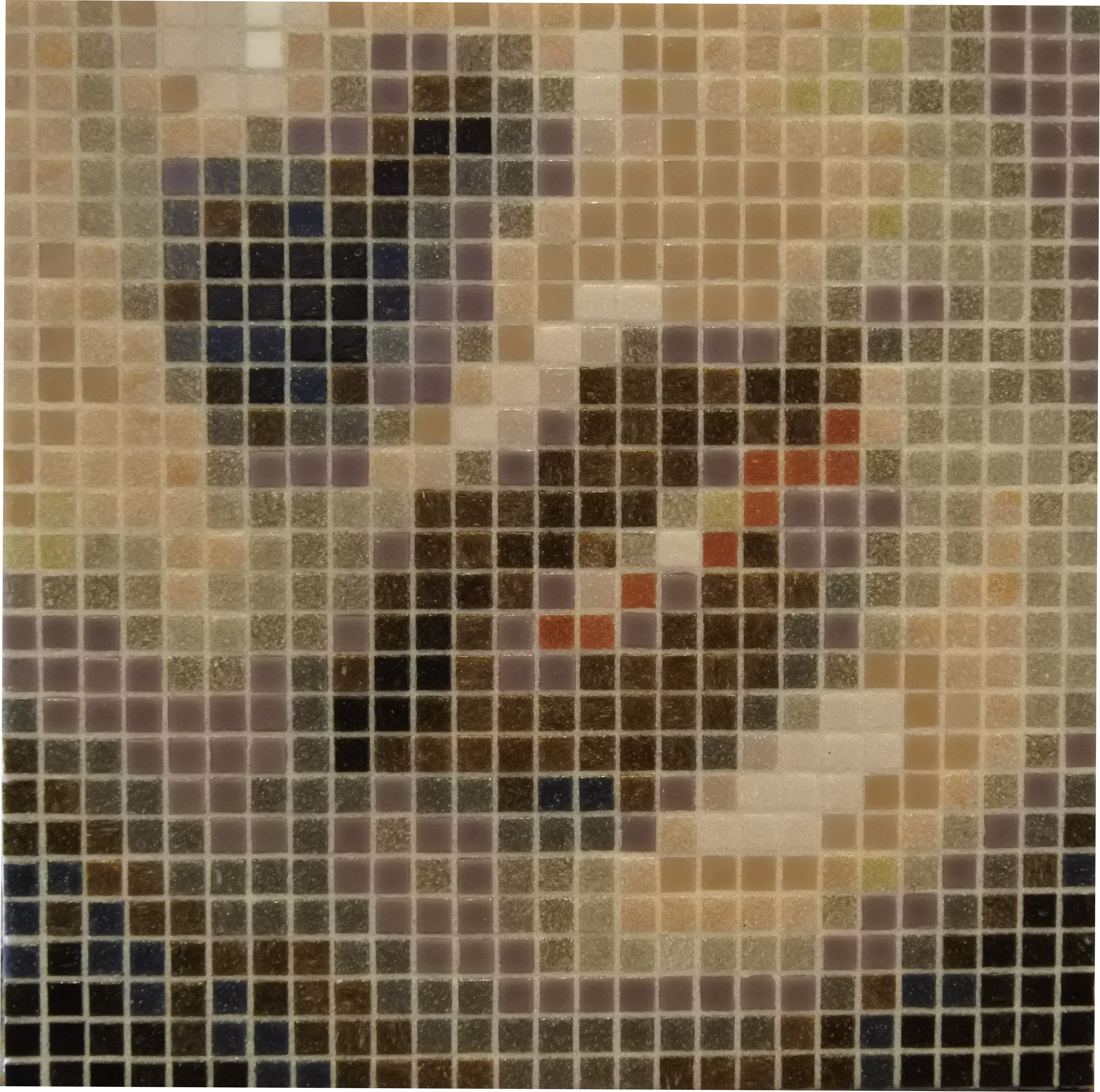 Image - AMoAPirtle.jpg