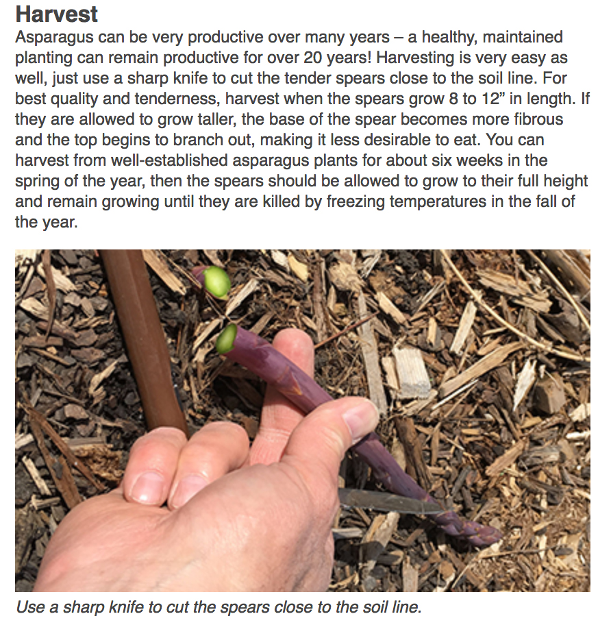 Image - Harvest.jpg