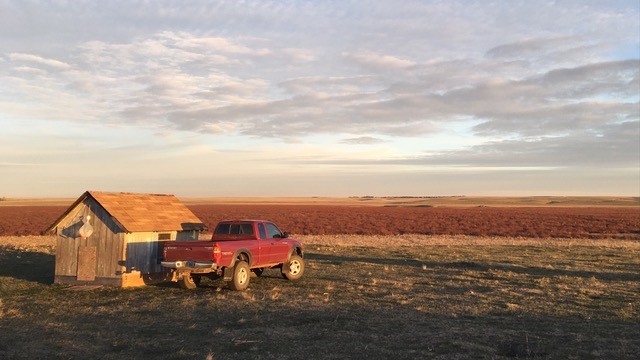 Image - Hurst100.jpg