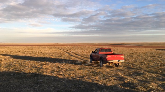 Image - Hurst100a.jpg