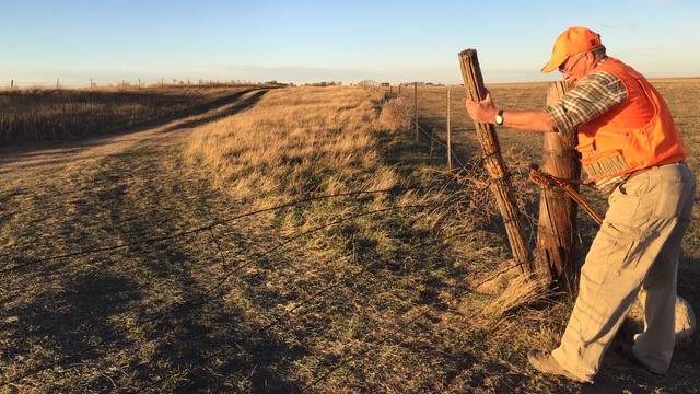 Image - Hurst100b.jpg