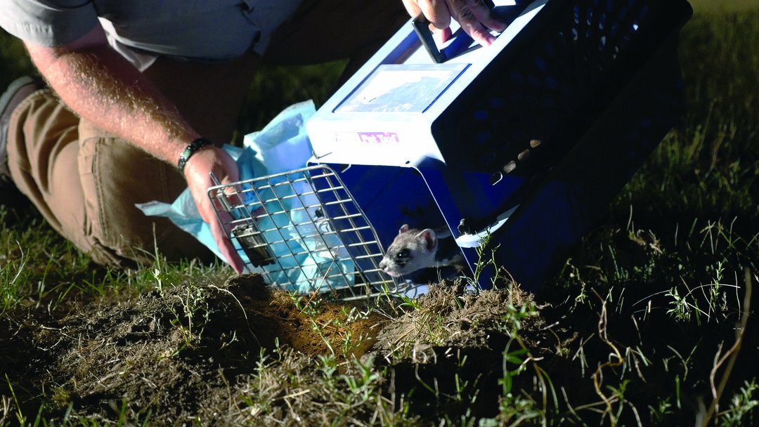 Image - 17_original_file_I3.jpg