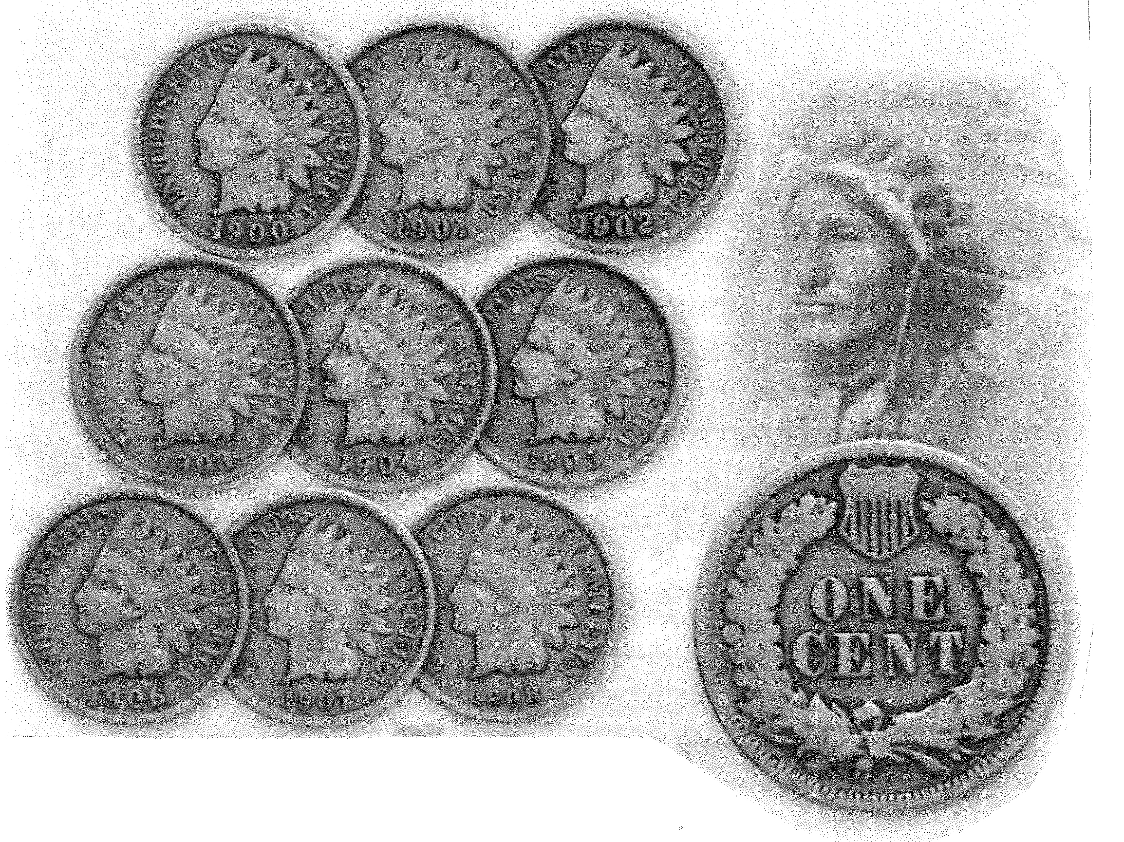 Image - IH-Penny.jpg