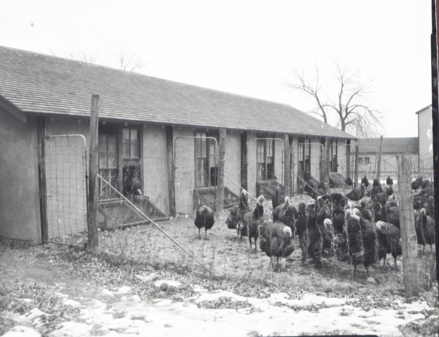 Image - PoutryBarn.jpg