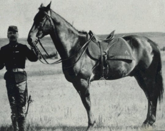 Image - Comanche_Fort_Riley-commons.jpg