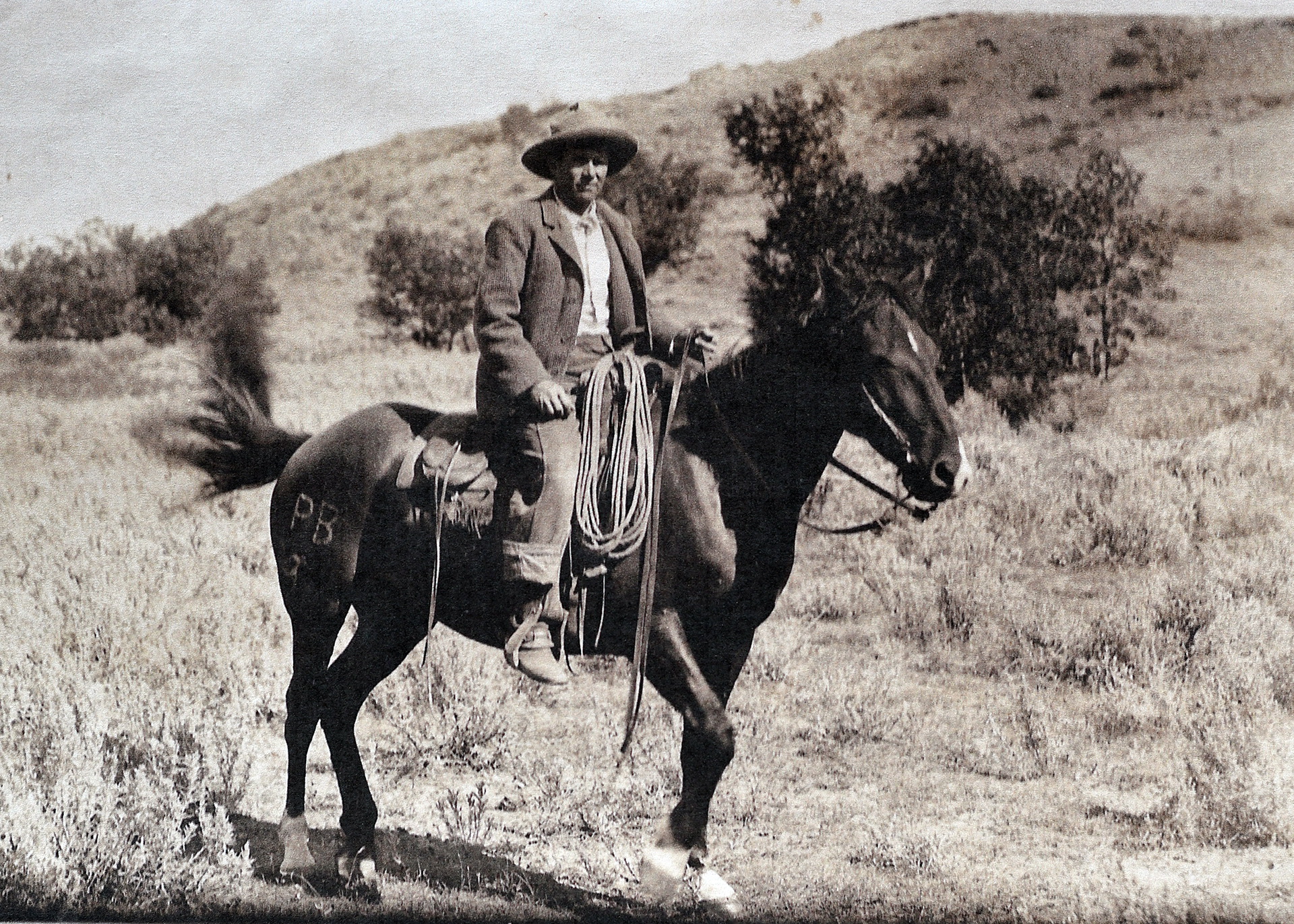 Image - MattOnHorse.JPG