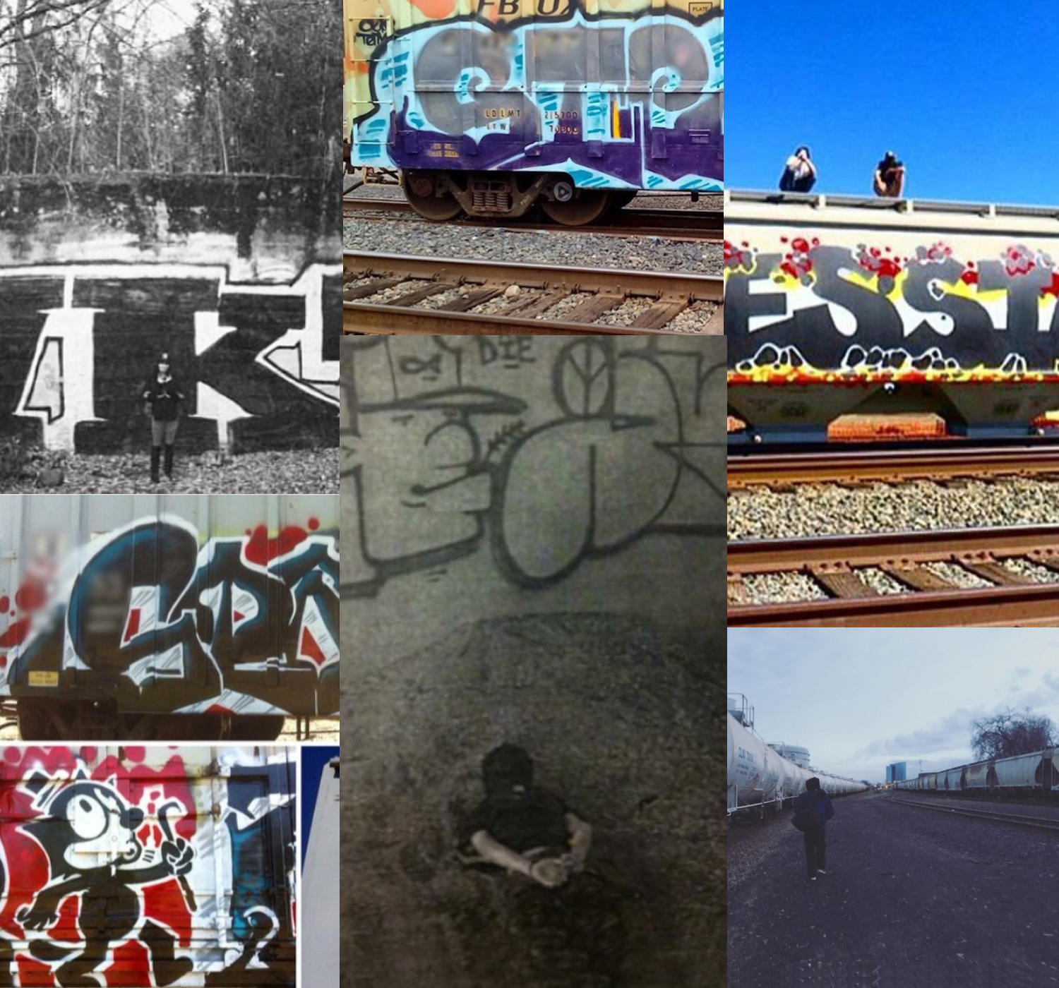 Image - collage2.jpg