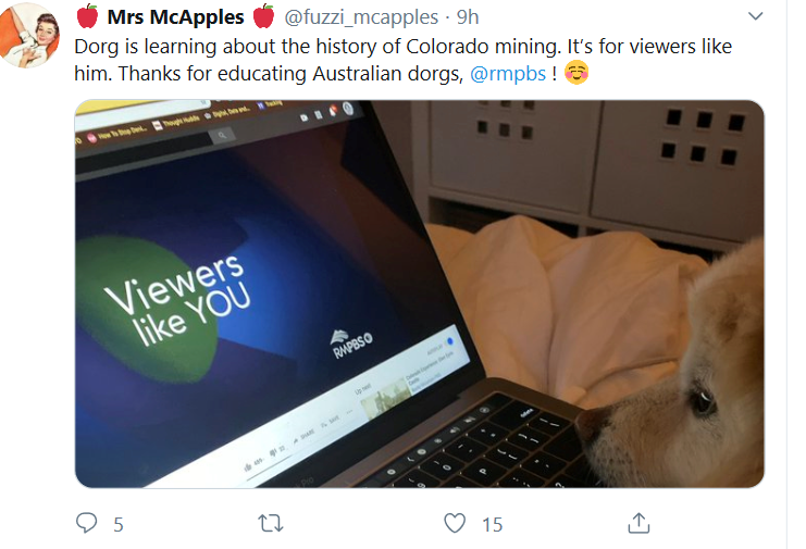 Image - Dog tweet 1.PNG